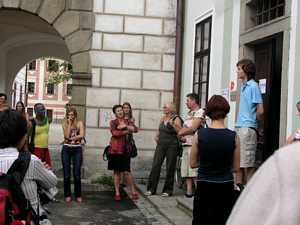 Vernisáž profesionálů v Krčínově domě