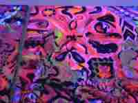 Otto Placht: House of Lords of Kunštát, Brno, 5.6.2007