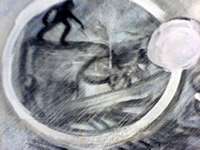 exhibitions in Brno, Aug 17 2006