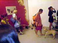 exhibitions in Brno, Aug 17 2006