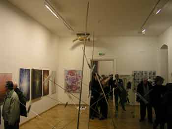 Liška bystrouška na stropě . Kliknutím se zvětší