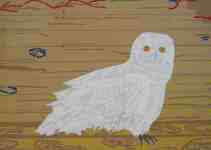 Petr Kožíšek: Sovy a klece, barevné izolepy