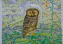 Petr Kožíšek: Sovy a klece, barevné izolepy