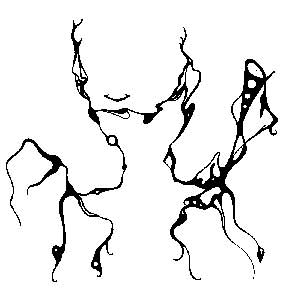 Výstava na Radikále z 30.6.2005: Václav Svoboda